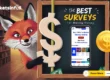 surveys for money